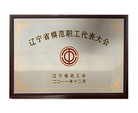 蓬莱辽宁省模范职工代表大会