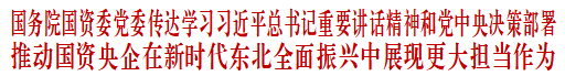蓬莱国资委：支持指导中央企业以更大力度投资东北、布局东北、建设东北、发展东北