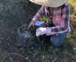 岫岩东堡子金矿外围物探测量作业