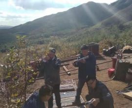 管它严寒与酷暑，唯有实干勇向前